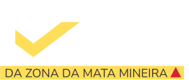 Grupo Modelo